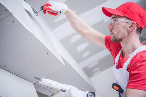 Best Ceiling Drywall Installation  in Fairbank, IA